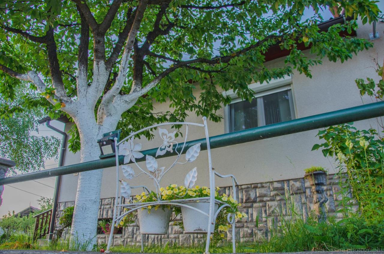 Apartment Rasce Ogulin Exterior foto