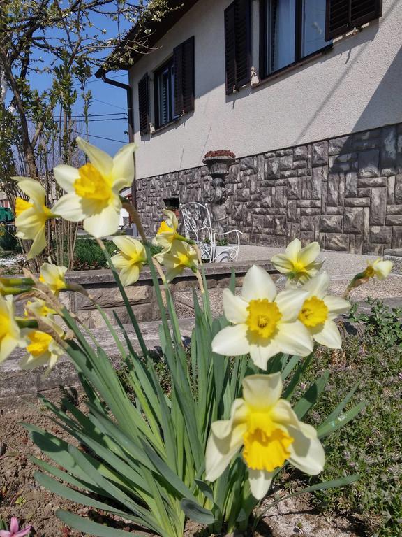 Apartment Rasce Ogulin Exterior foto
