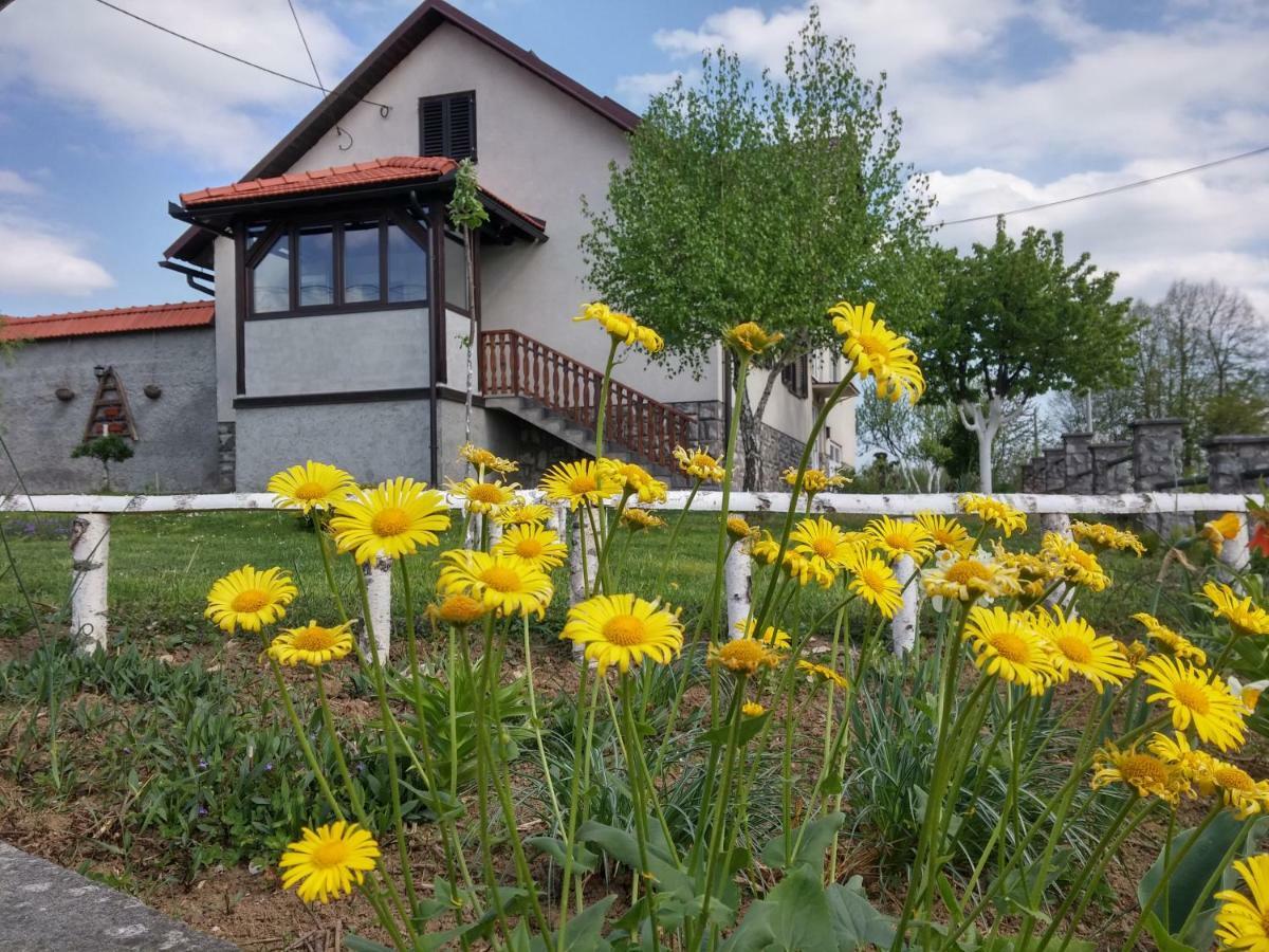 Apartment Rasce Ogulin Exterior foto